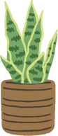 Potted Plant Illustration